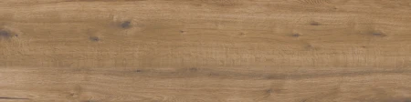 55543.