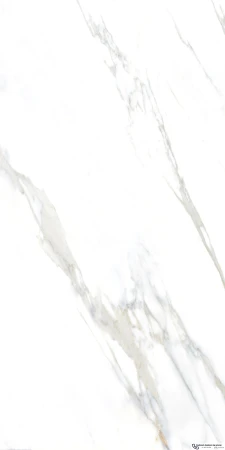 45584.