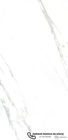 45608.