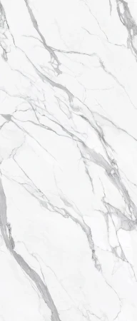 45889.