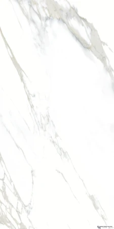 45586.