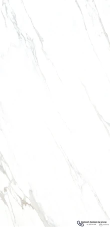 45589.