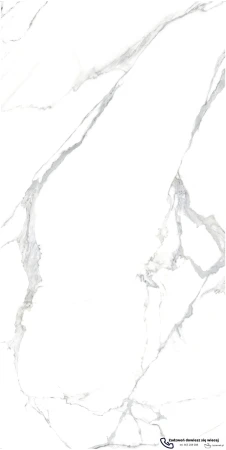 46468.