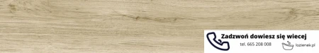 55344.