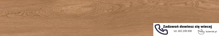 55478.