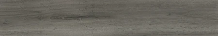 55528.