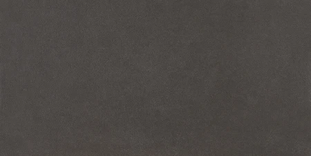 55619.