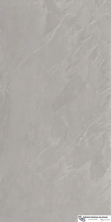 55966.