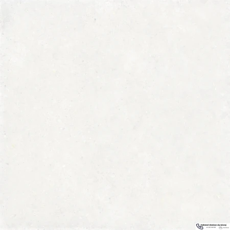 56062.