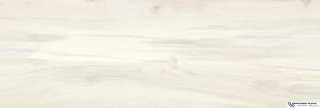 56135.