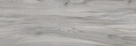 56195.