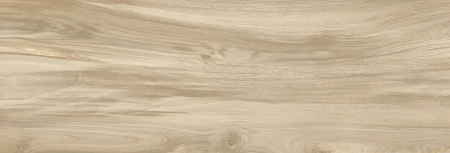 56205.