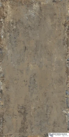 56251.