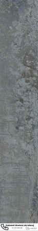 56331.