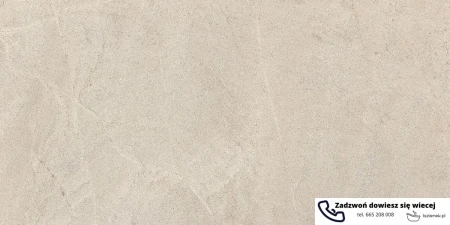 56568.