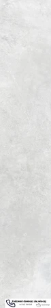 56577.