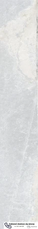 56578.