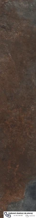 56672.