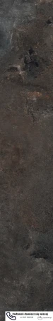 56675.