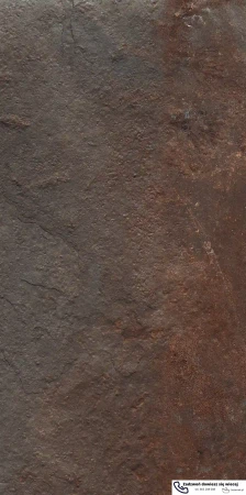 56677.