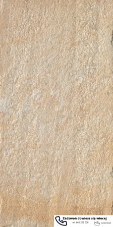 56832.