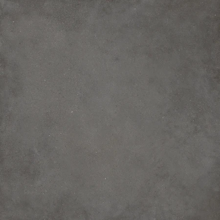 c5a6edd636189b6239361b5c2d65d459