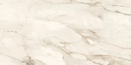 7de419fad70f6fb540360445d2847554