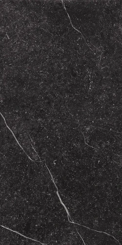 Przejdź do produktu Imola Genus GNSG 12N LP 60x120 cm