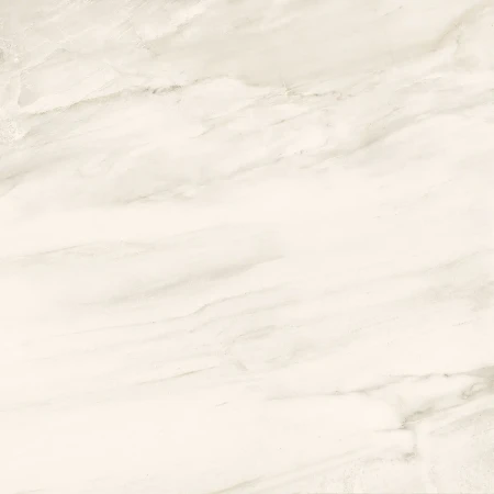 519d203a7795dbbf56e7a928d507d5e5