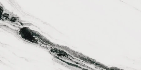 340e3c774bd3772e9deb64604428f7ea