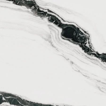 656a01fc877c49e8c8125e01c4f23a71