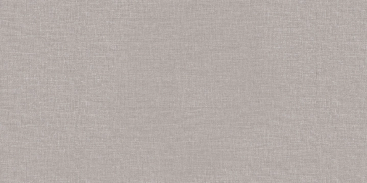 Apavisa Ethnic Grey naturalna 49.75x99.55 cm gr. 10 mm