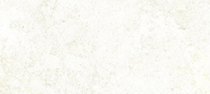 Apavisa Emotion White naturalna 49.75x99.55 cm gr. 10 mm