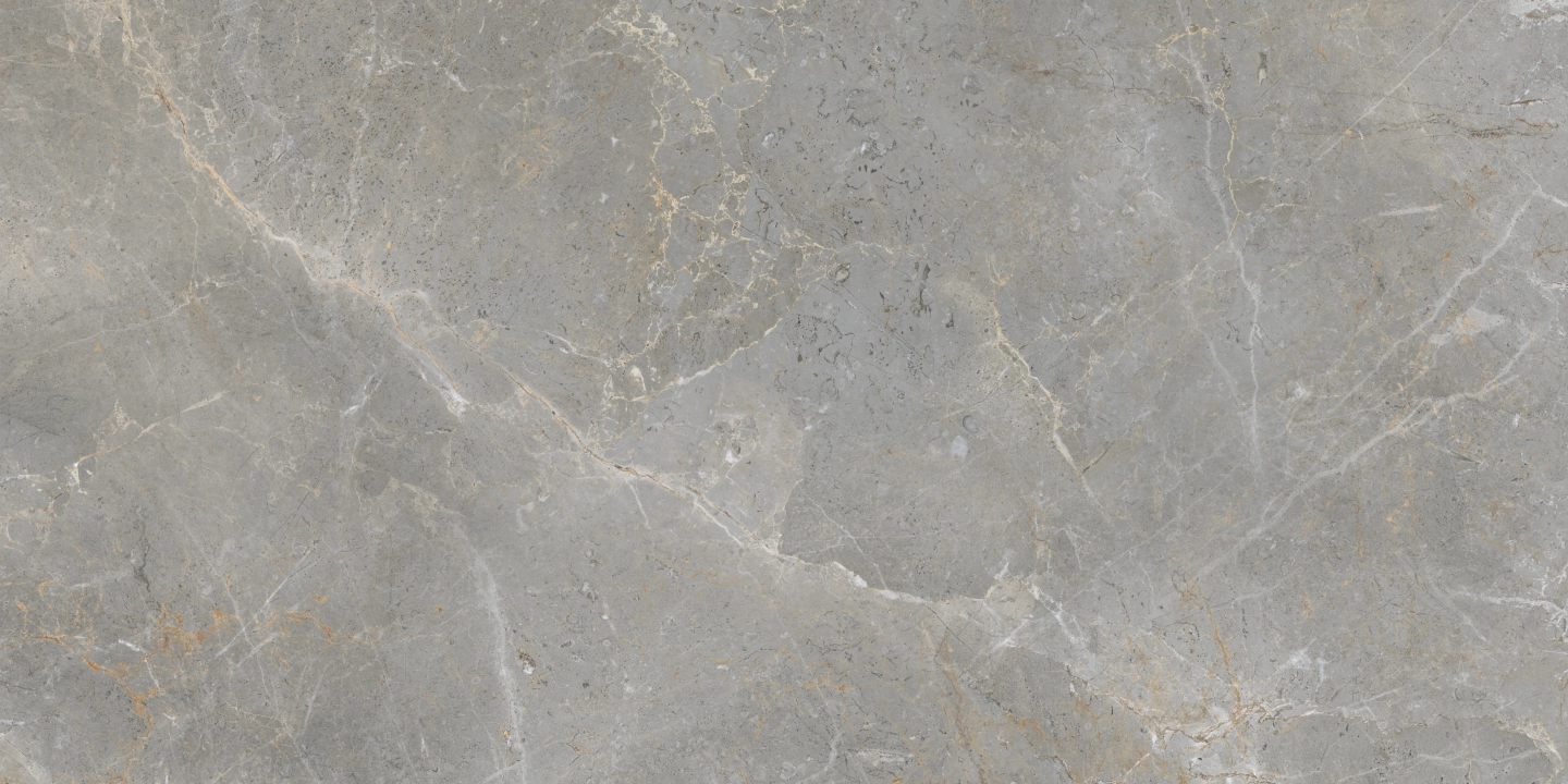 Ape Augustus Grey matowa 60x120 cm gr. 10 mm