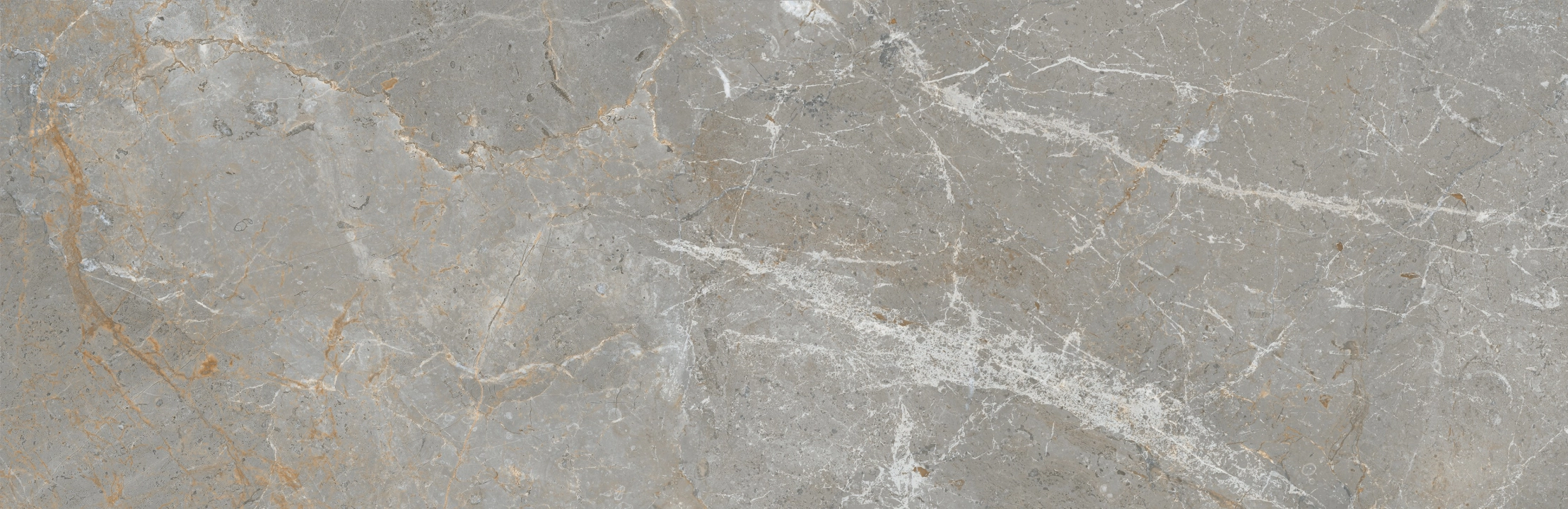 Ape Augustus Grey matowa 30x90 cm gr. 10 mm