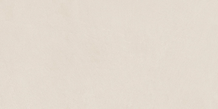 Ape Argillae Neve matowa 30x60 cm gr. 10 mm
