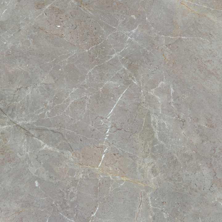 Ape Augustus Grey matowa 120x120 cm gr. 10 mm