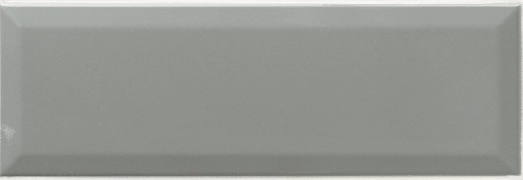 Ape Loft Plata błyszcząca 10x30 cm gr. 10 mm