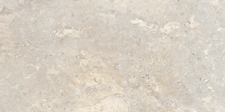 Ascot Signature Stone Beige matowa 60x120 cm gr. 10 mm