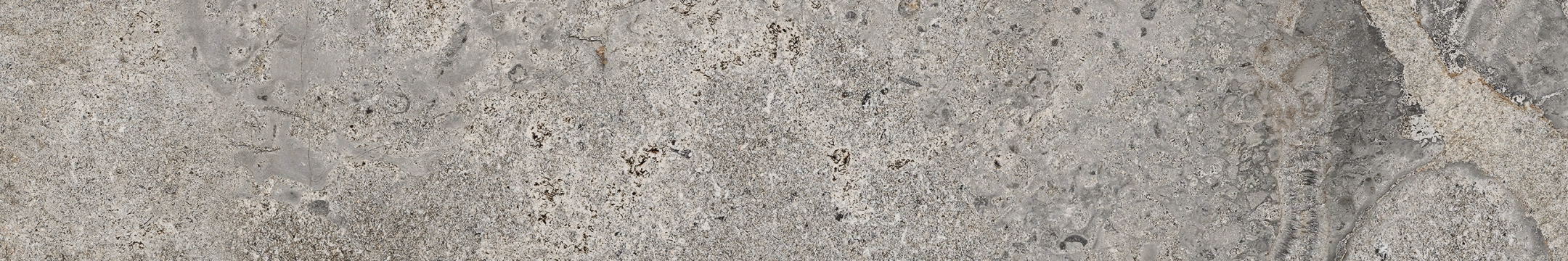 Ascot Stone Valley Cenere matowa 10x60 cm gr. 9 mm