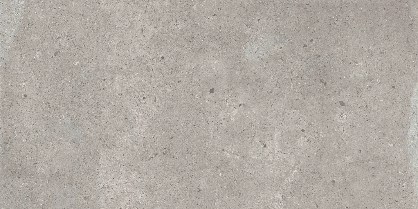 Ascot District Grey matowa 60x120 cm gr. 9 mm