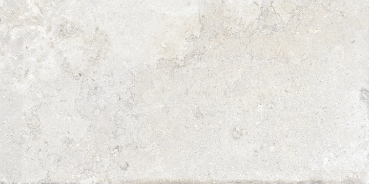 Ascot Signature Stone White matowa 60x120 cm gr. 10 mm