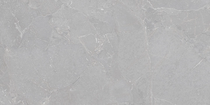 Ascot Ara Stone Grey matowa 30x60 cm gr. 10 mm