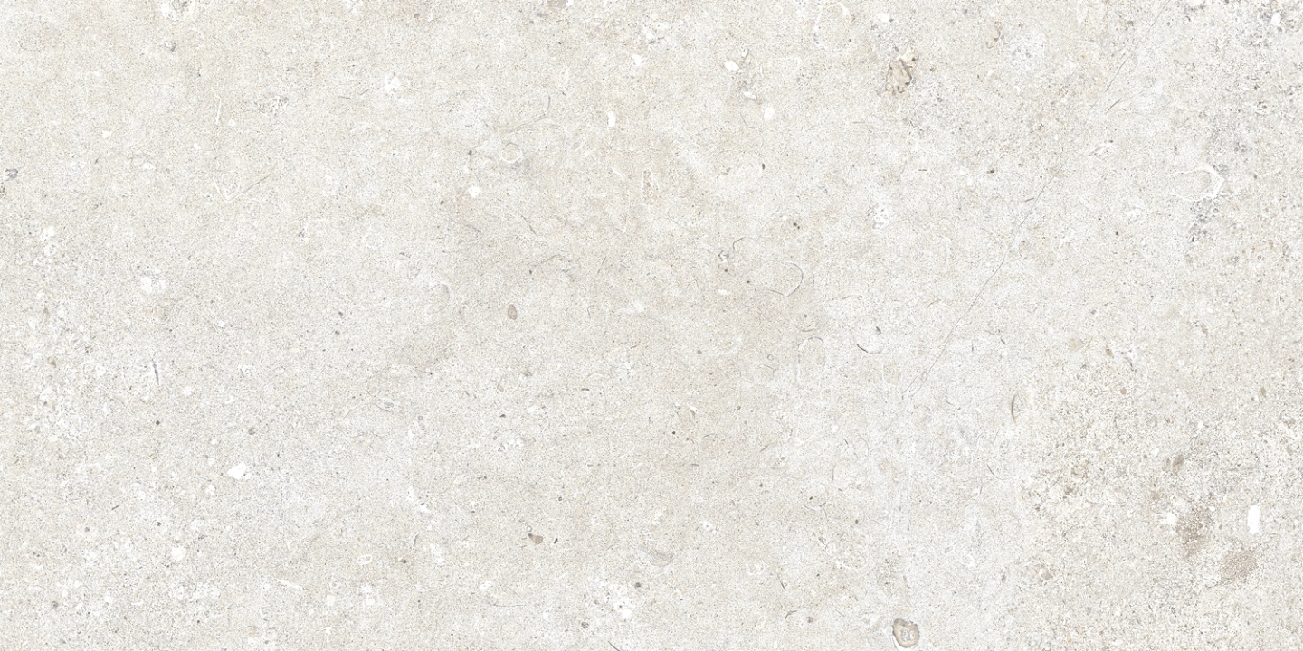 Ascot Signature Stone White matowa 30x60 cm gr. 10 mm