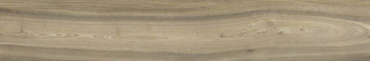 Ascot Natural Olmo matowa 20x120 cm gr. 9 mm
