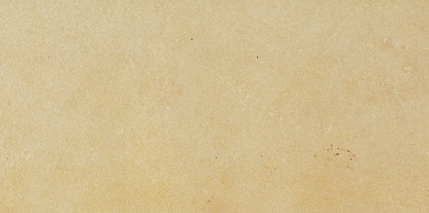 Coem Fossilia Dorato matowa 30.5x61.4 cm gr. 9 mm