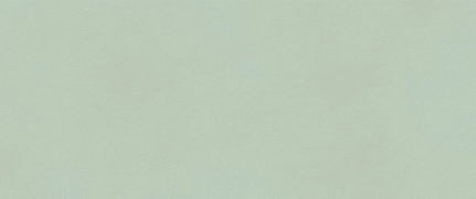 Fap True Color Matcha matowa 50x120 cm gr. 9 mm