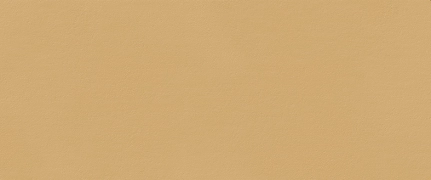 Fap True Color Caramel matowa 50x120 cm gr. 9 mm