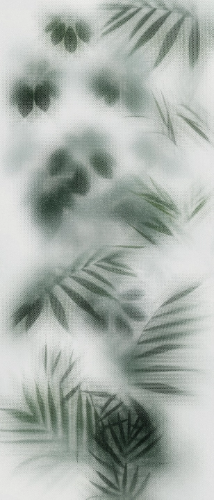 Flaviker Art Walls Beyond błyszcząca 120x280 cm gr. 6 mm