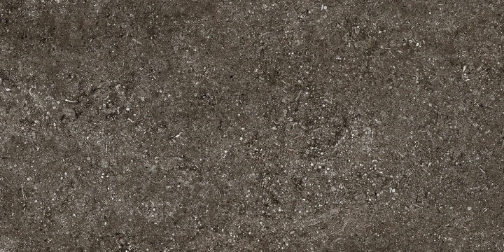 Florim Sensi Brown Fossil naturalna 60x120 cm 768625